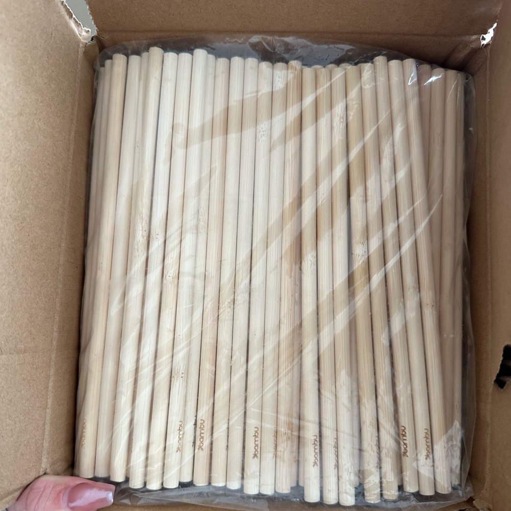 Bamboo Disposable Straws - bulk 250 count